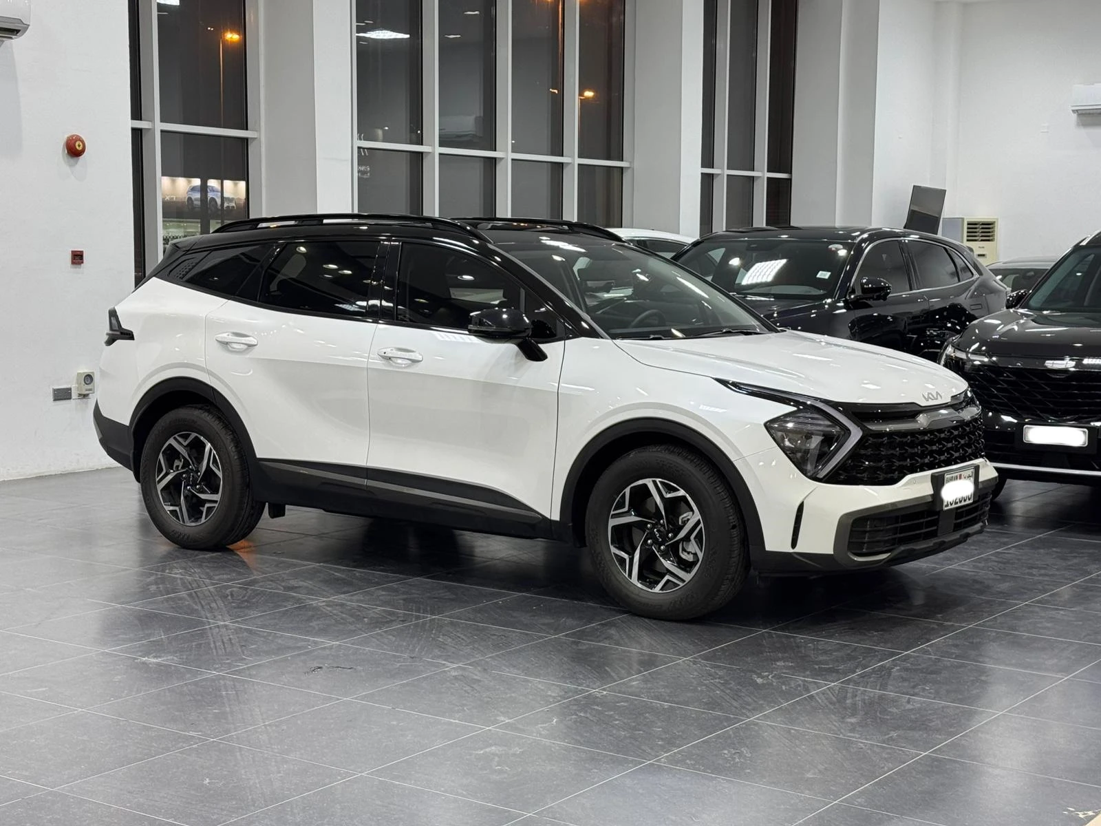 Kia Sportage 2026 (White)